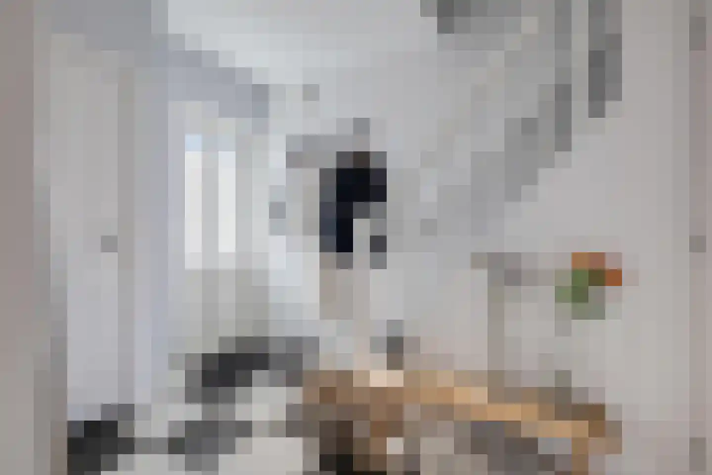 Heuvelplein 258 Breda thumbnail 9