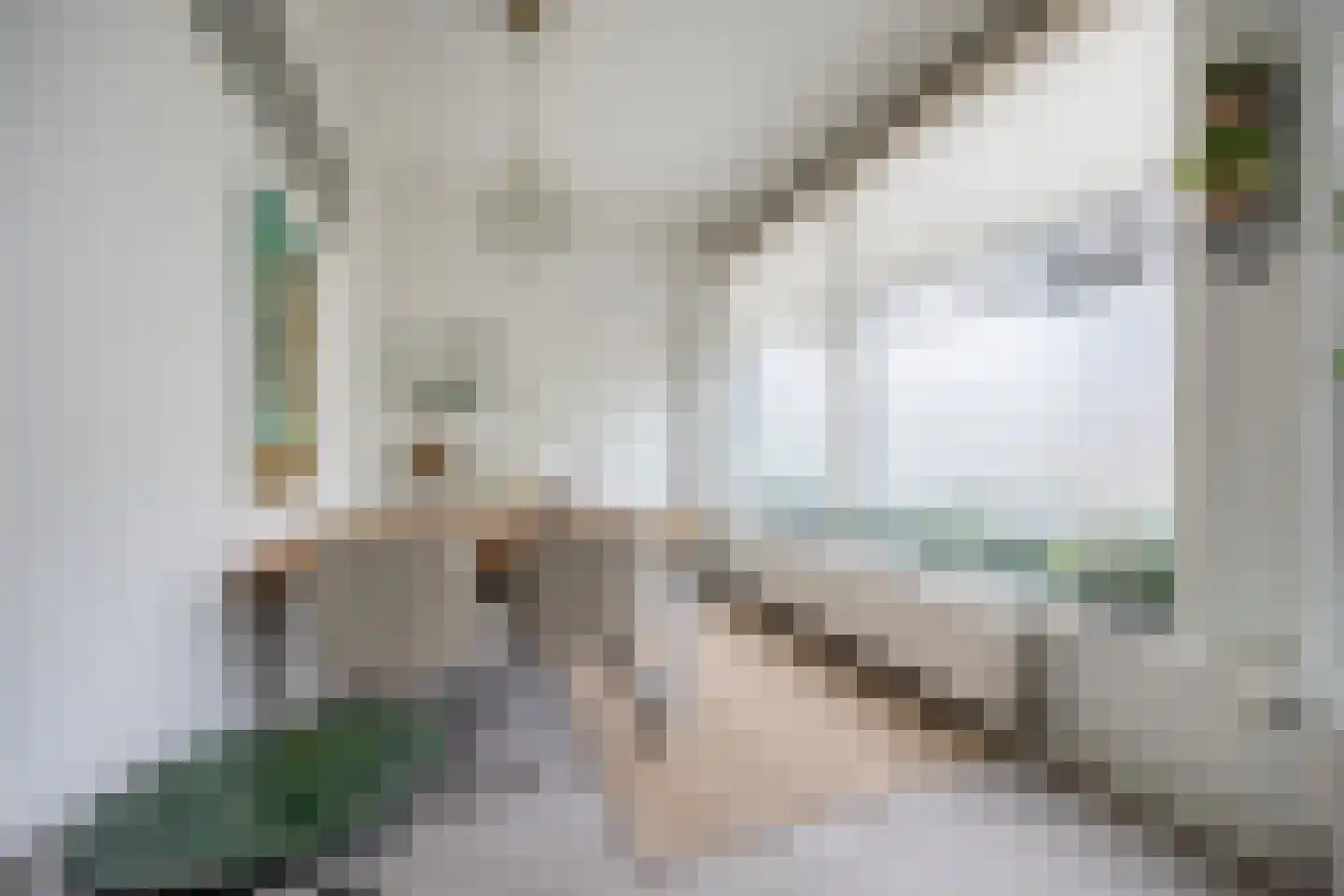 Heuvelplein 288 Breda thumbnail 16