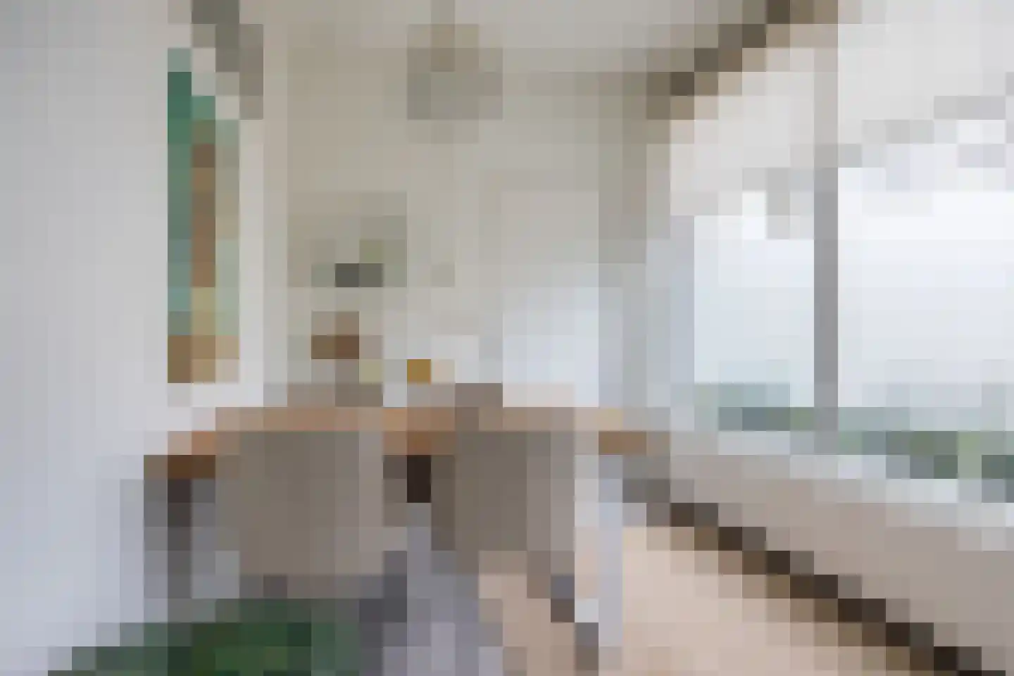 Heuvelplein 288 Breda thumbnail 17