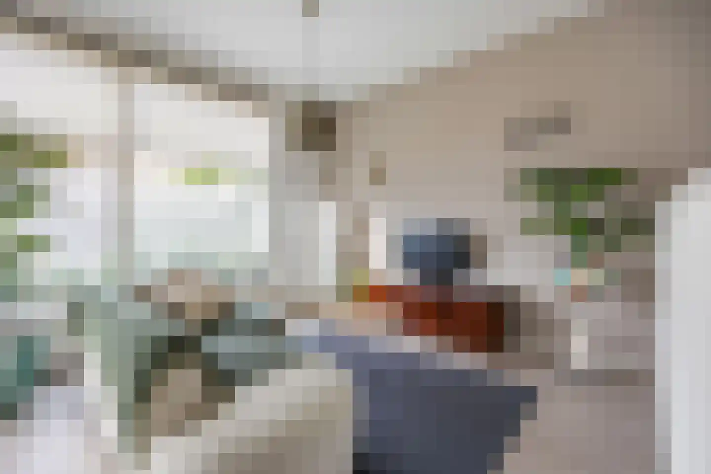 Heuvelplein 288 Breda thumbnail 24