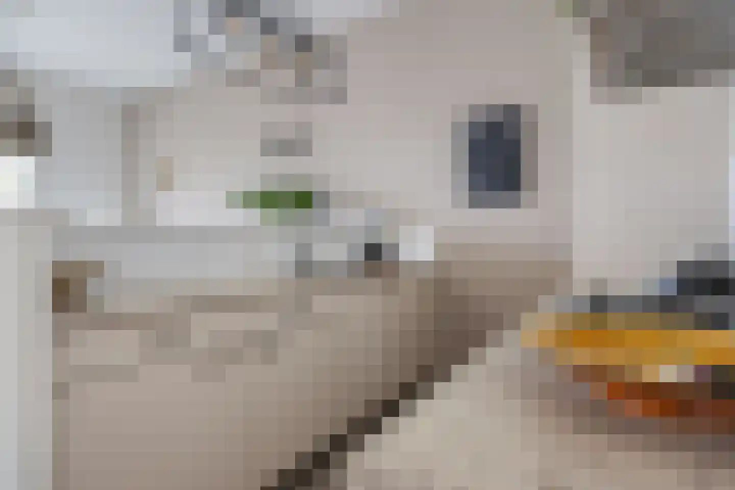Heuvelplein 288 Breda thumbnail 34