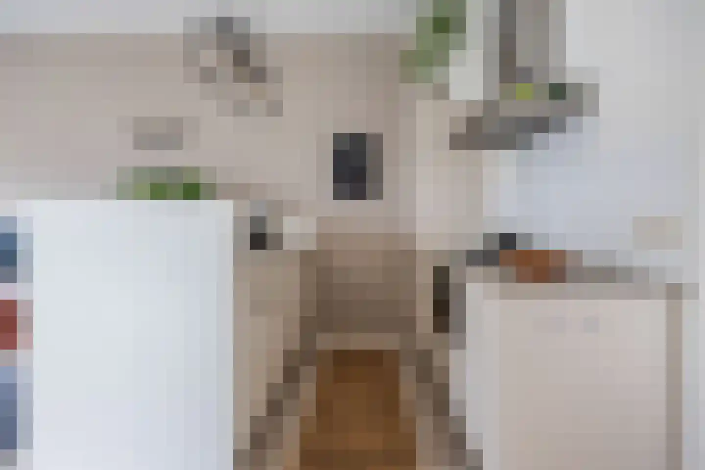 Heuvelplein 288 Breda thumbnail 34