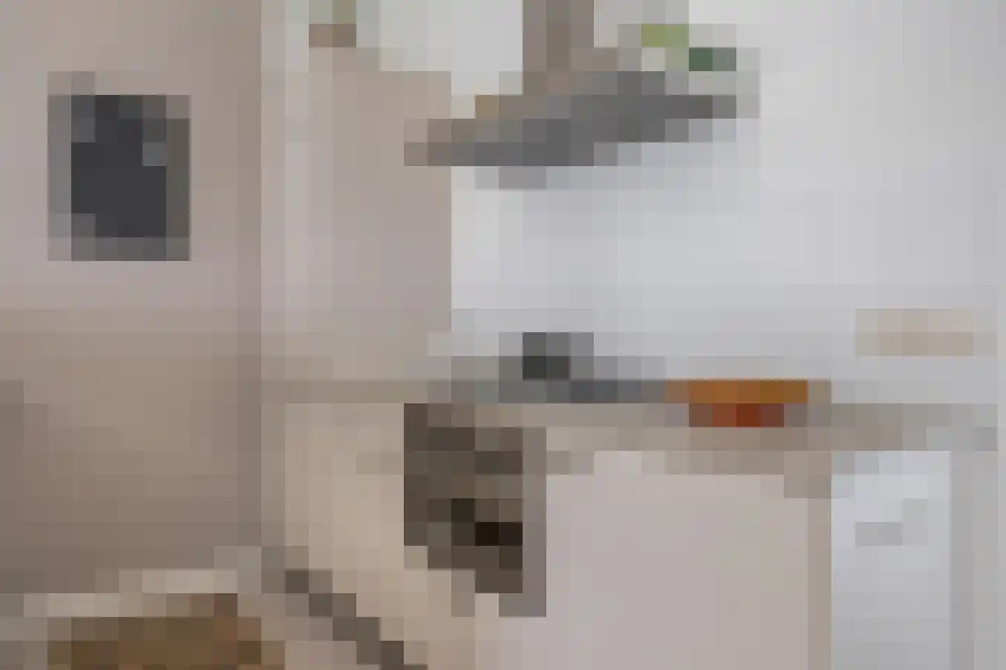 Heuvelplein 288 Breda thumbnail 36