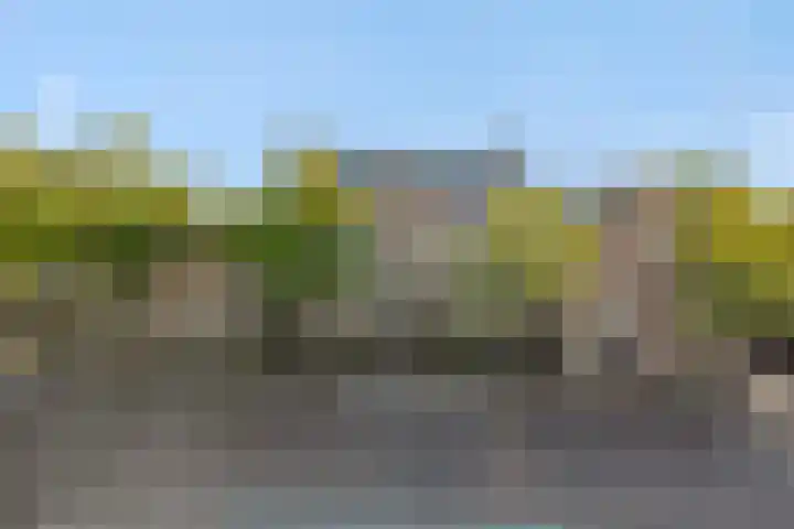 Heuvelplein 59 Beek en Donk thumbnail 10