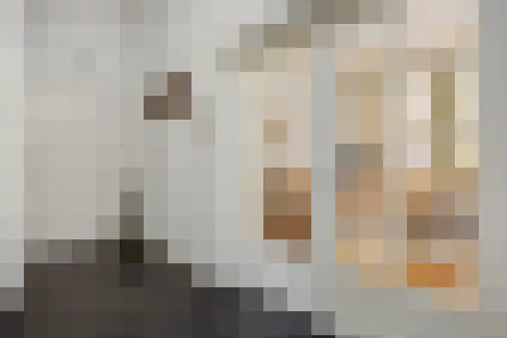 Heuvelplein 59 Beek en Donk thumbnail 17