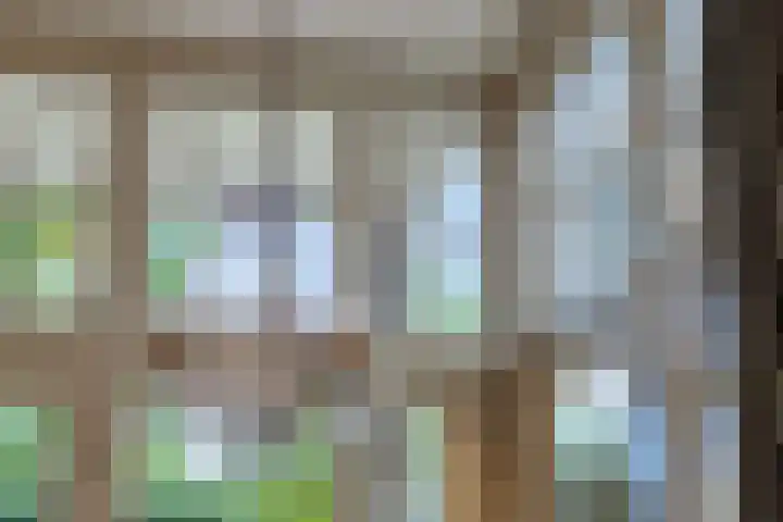 Heuvelplein 59 Beek en Donk thumbnail 26