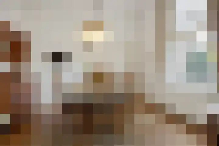 Heuvelplein 59 Beek en Donk thumbnail 29