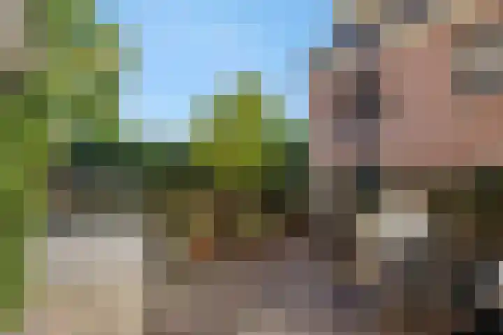 Heuvelplein 59 Beek en Donk thumbnail 39