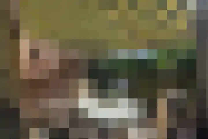 Heuvelplein 59 Beek en Donk thumbnail 41