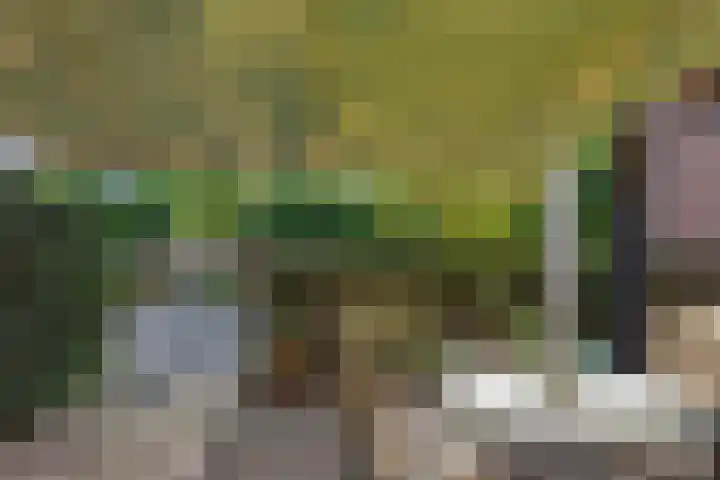 Heuvelplein 59 Beek en Donk thumbnail 42