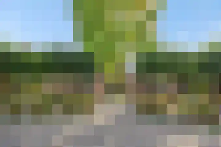 Heuvelplein 59 Beek en Donk thumbnail 43