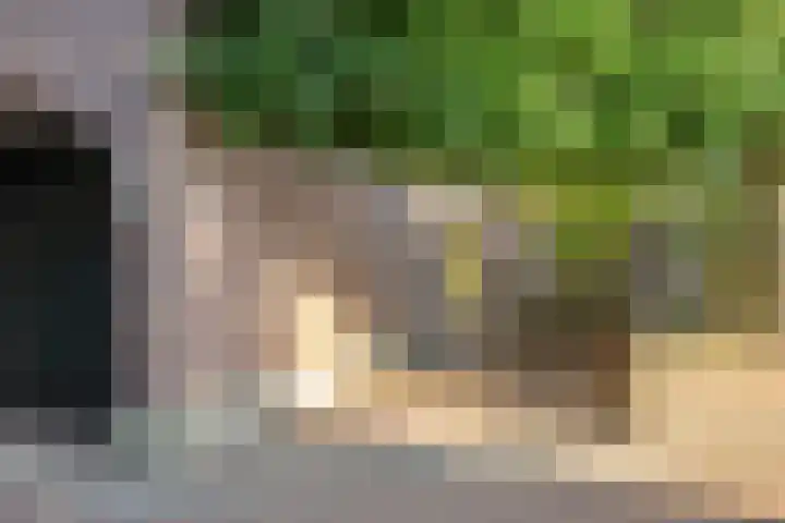 Heuvelplein 59 Beek en Donk thumbnail 46