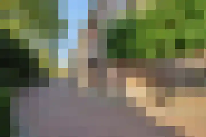 Heuvelplein 59 Beek en Donk thumbnail 47