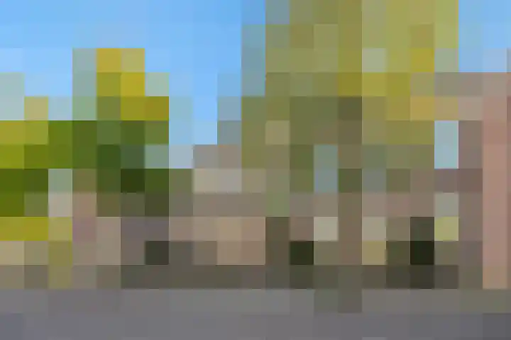 Heuvelplein 59 Beek en Donk thumbnail 5