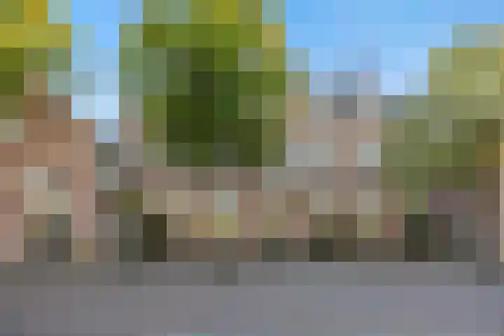 Heuvelplein 59 Beek en Donk thumbnail 6
