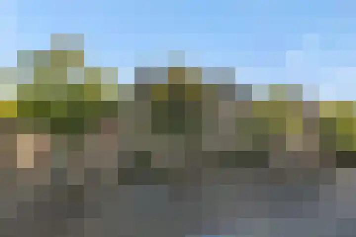 Heuvelplein 59 Beek en Donk thumbnail 9