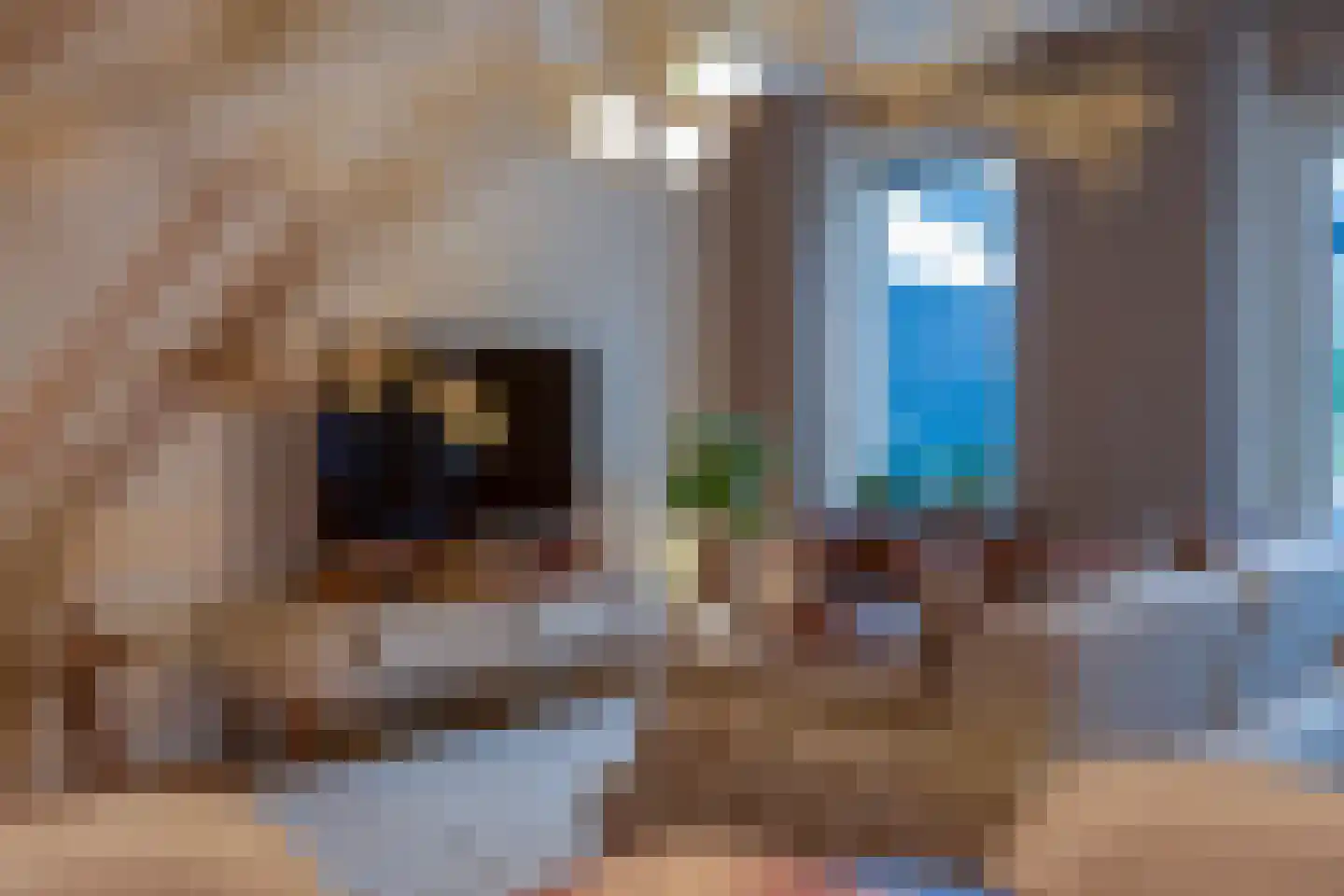 Heuvelrijt 13 Waalre thumbnail 12