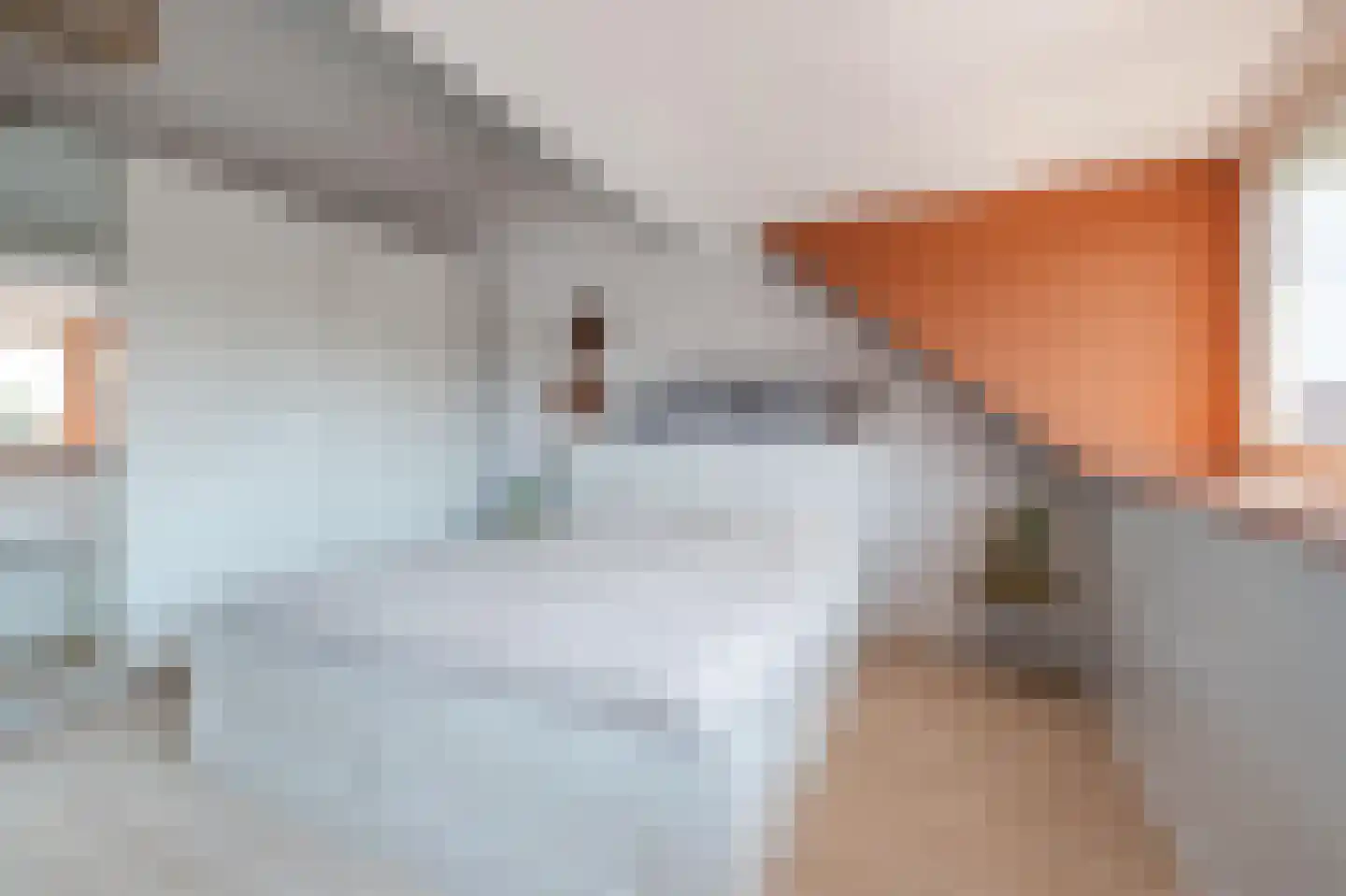 Heuvelrijt 17 Waalre thumbnail 29