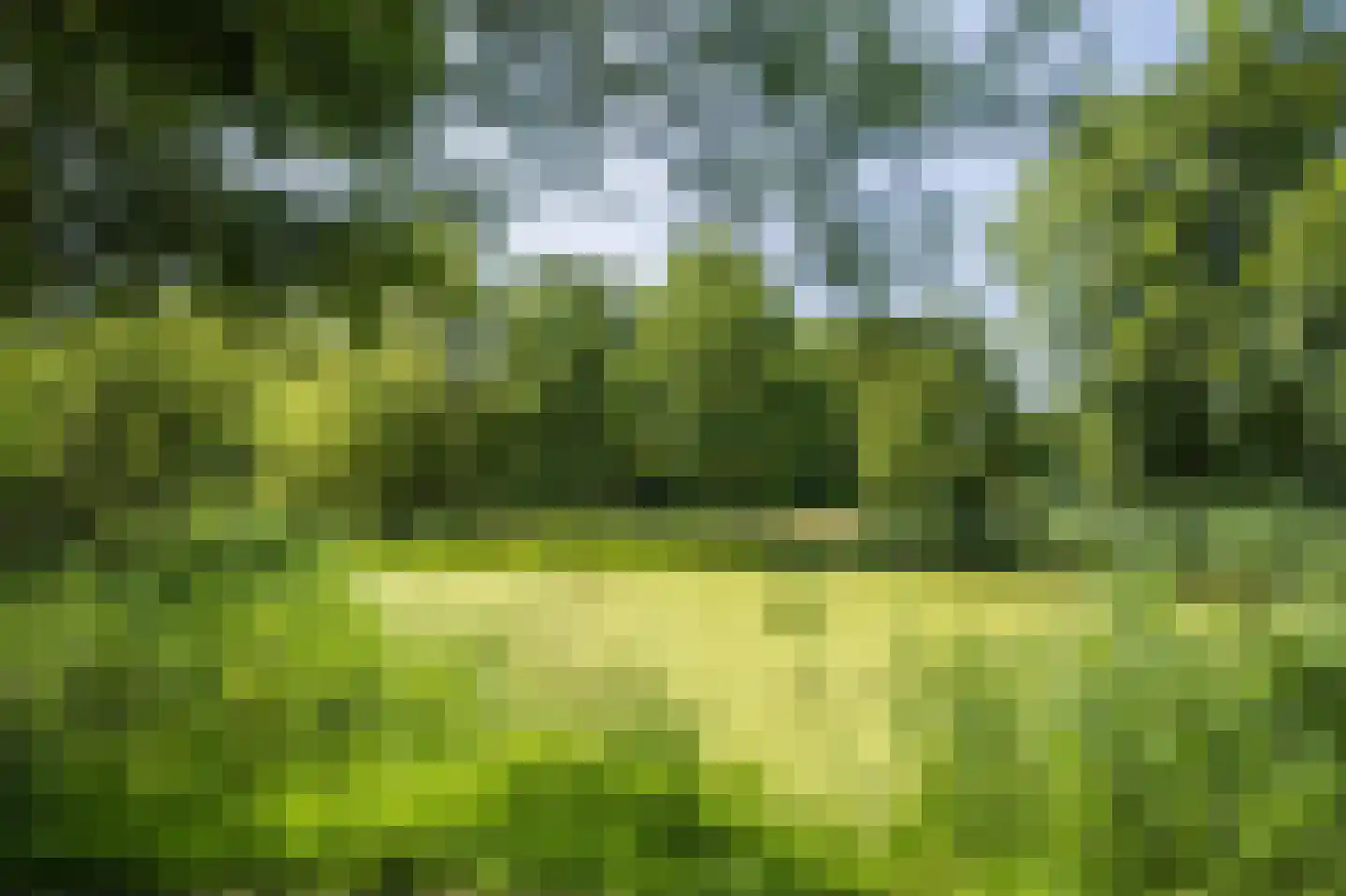 Heuvelrijt 17 Waalre thumbnail 40