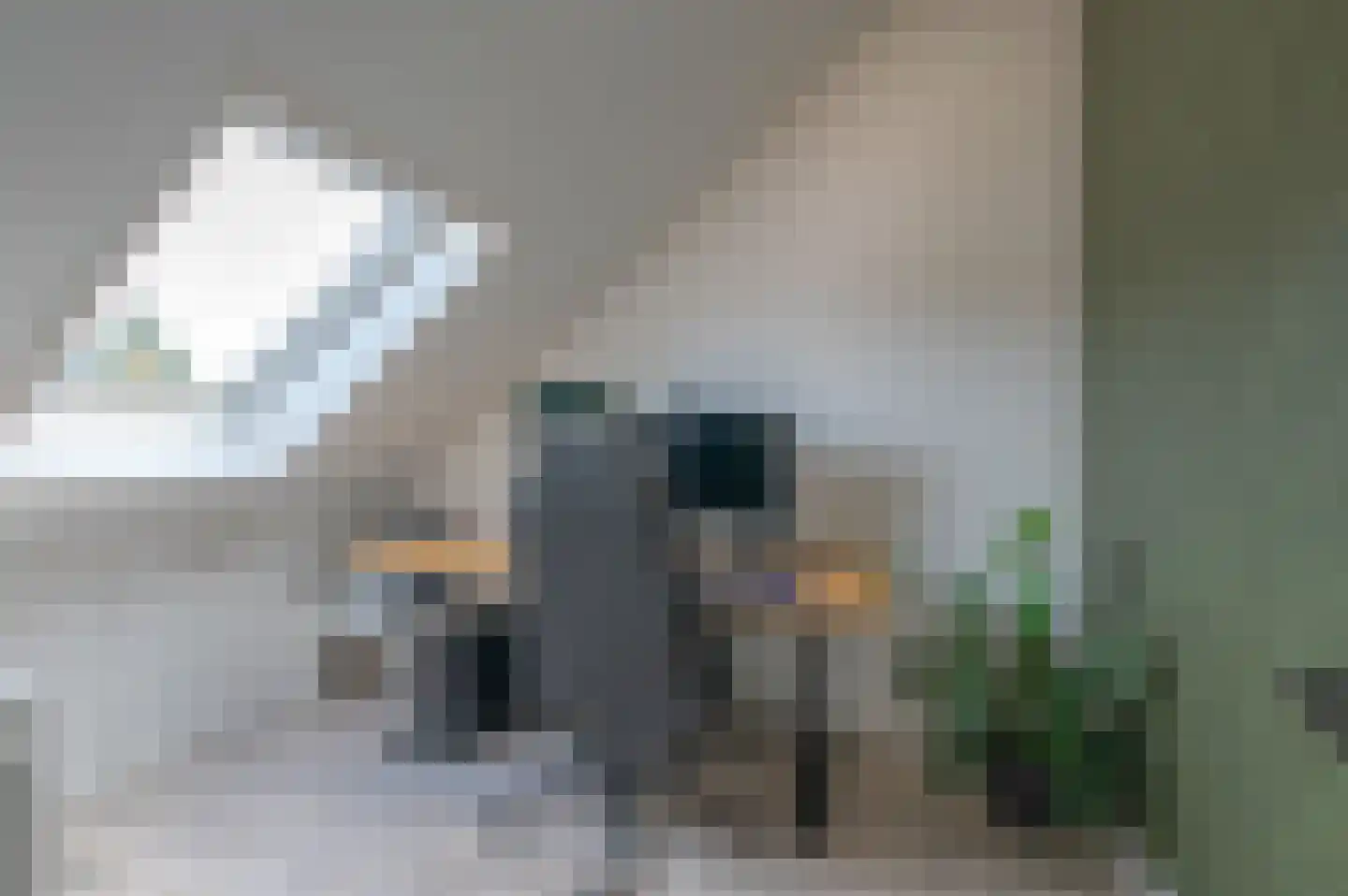 Heuvelrijt 9 Waalre thumbnail 17