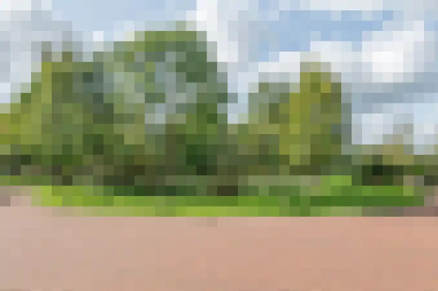 Heuvelrijt 9 Waalre thumbnail 23
