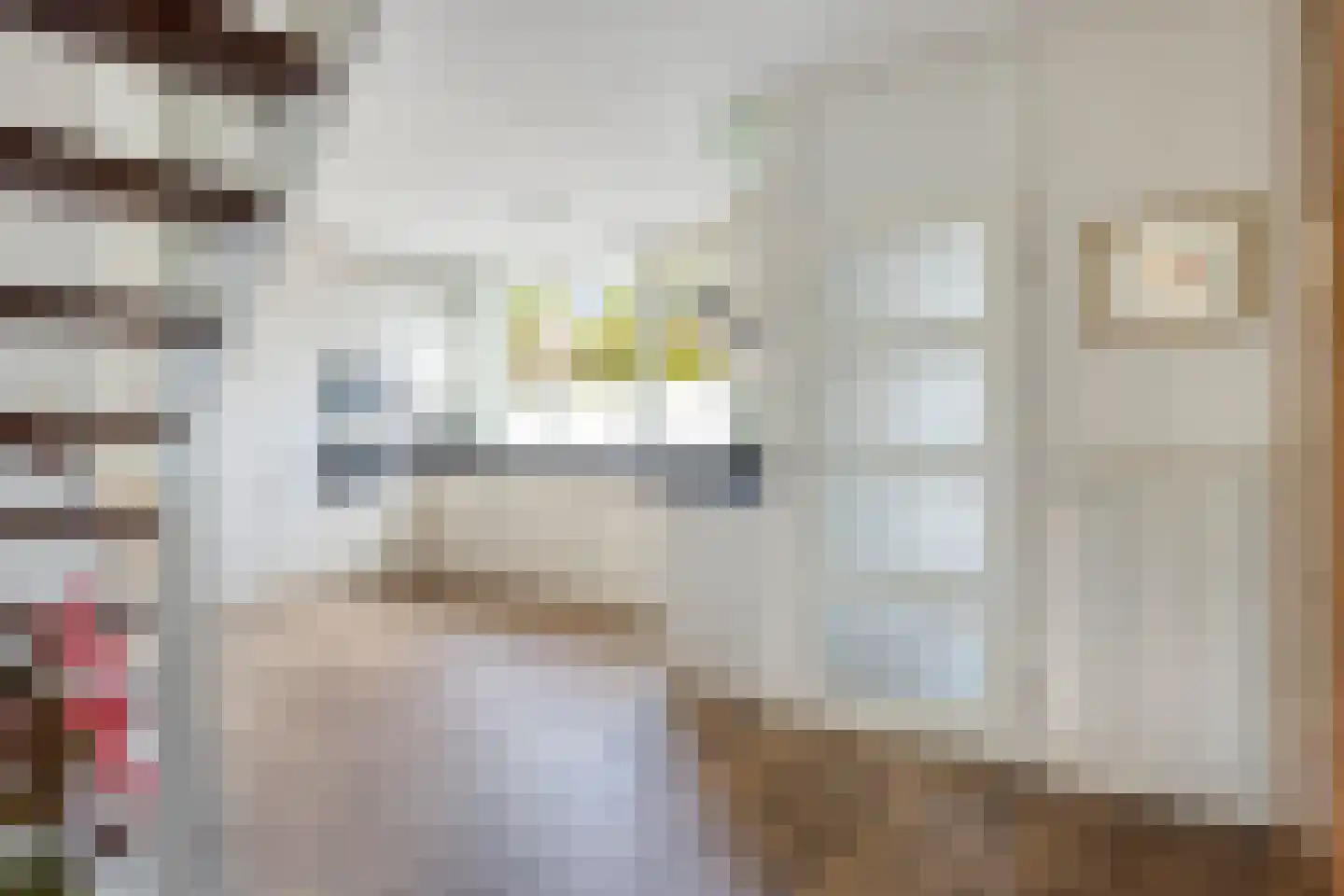 Heuvelroos 2 Leiden thumbnail 12