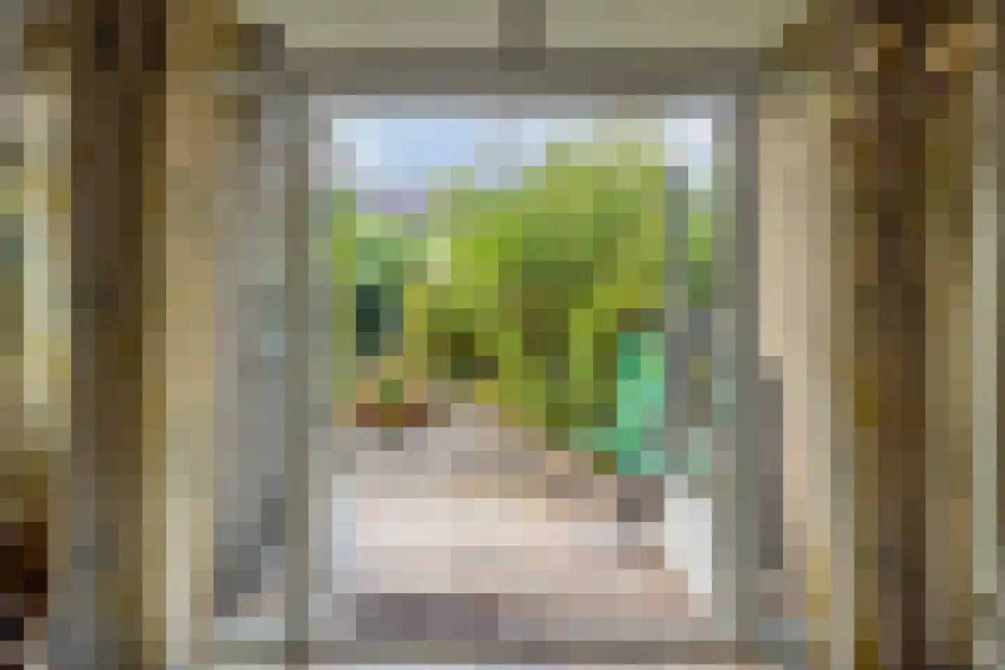 Heuvelroos 2 Leiden thumbnail 15