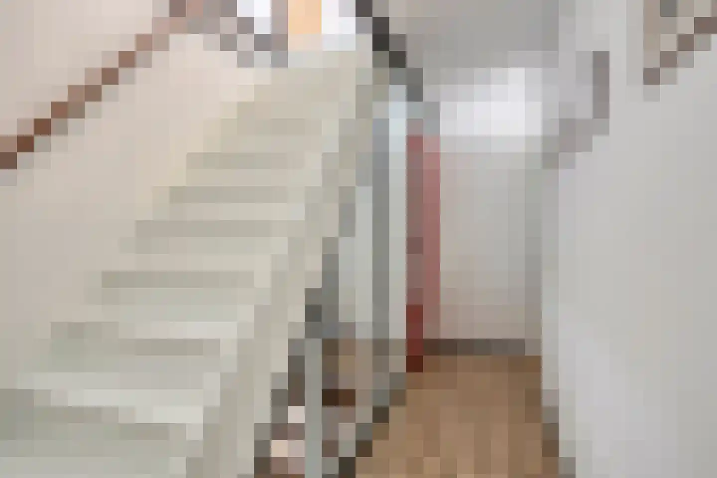Heuvelroos 2 Leiden thumbnail 25