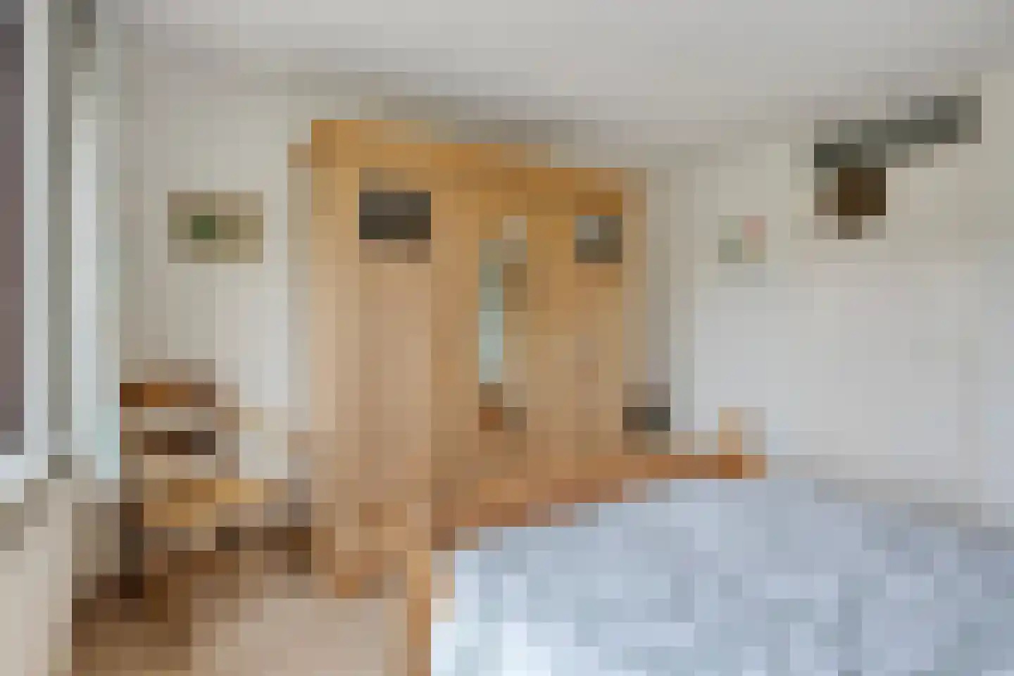 Heuvelroos 2 Leiden thumbnail 30