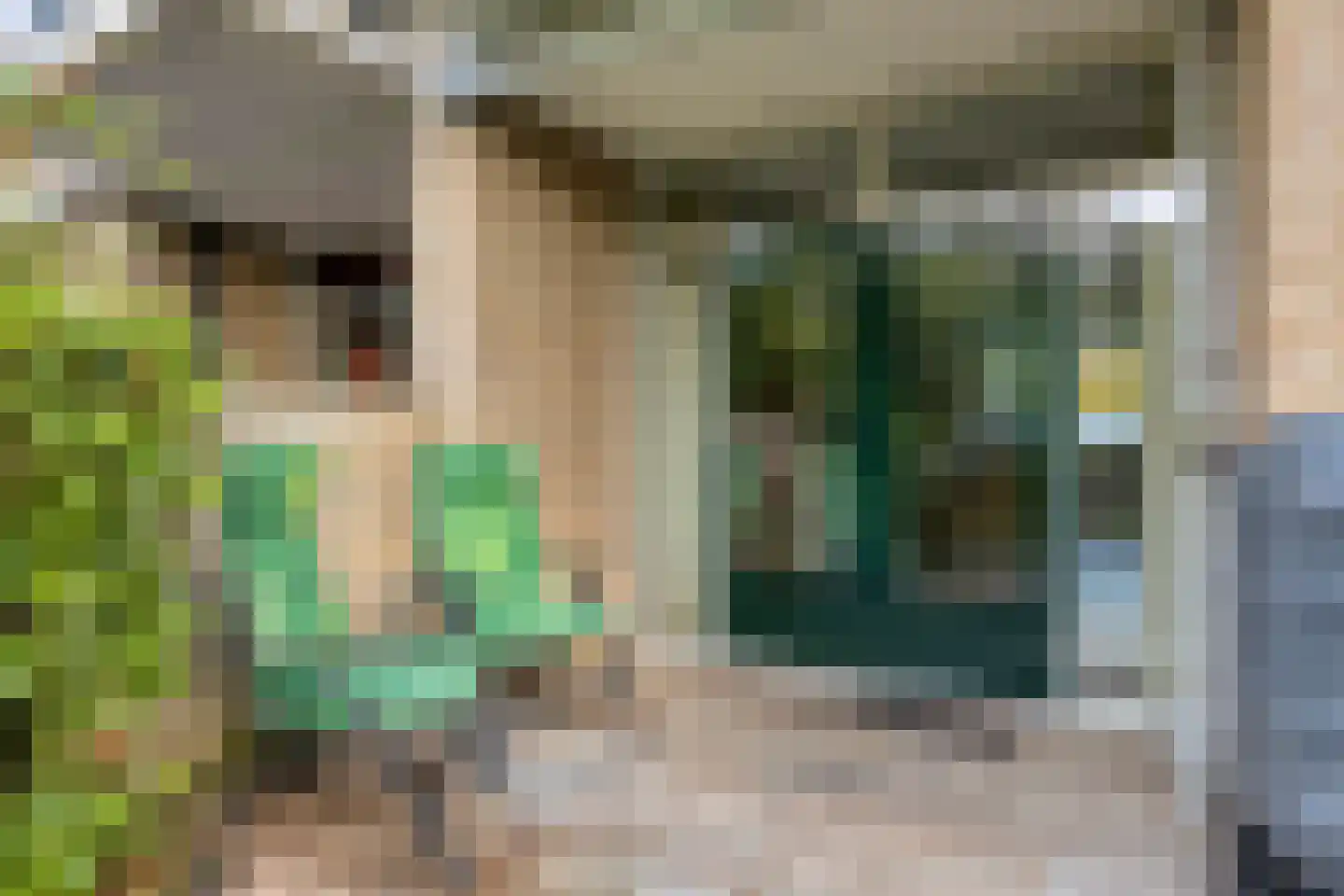 Heuvelroos 2 Leiden thumbnail 42