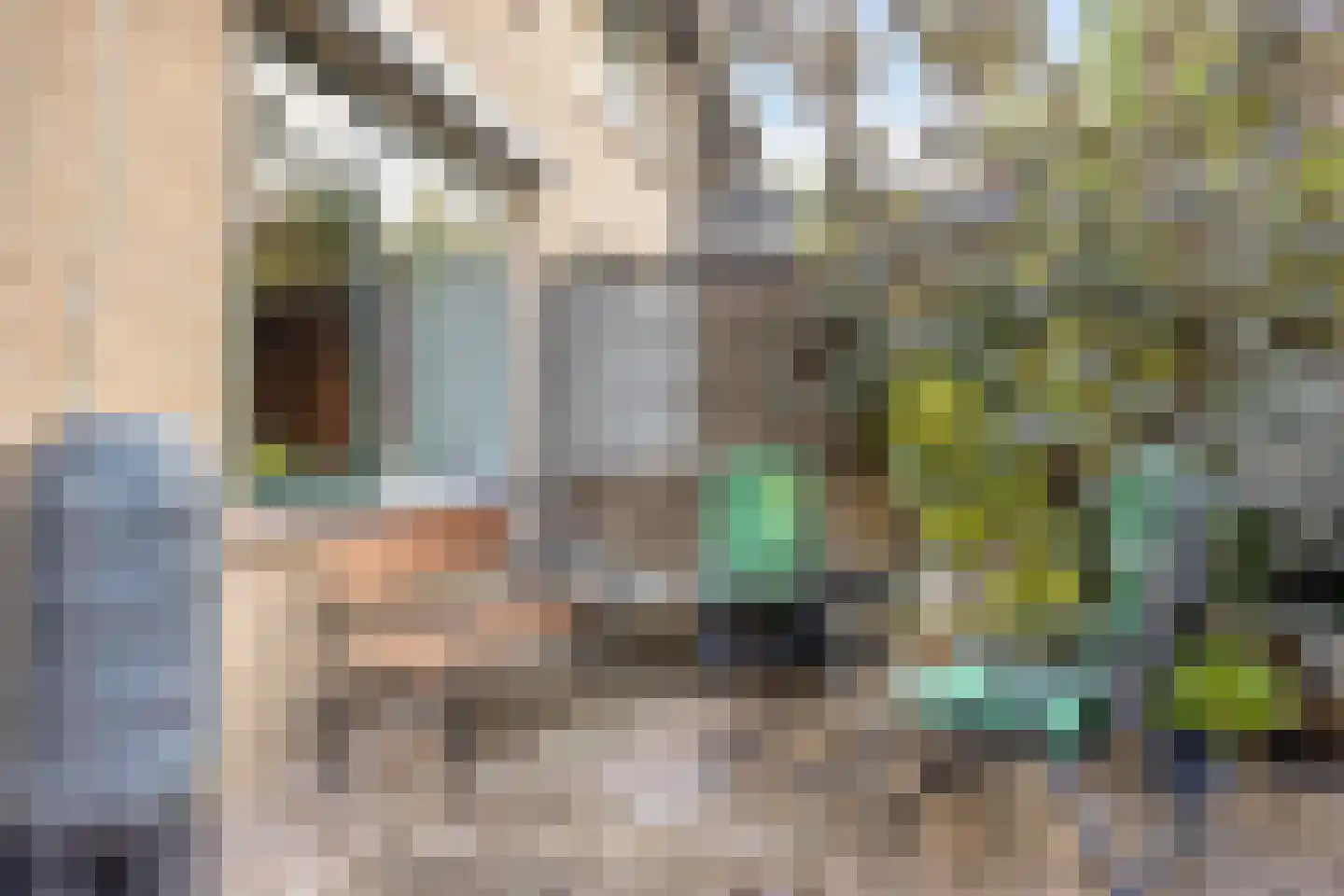 Heuvelroos 2 Leiden thumbnail 43