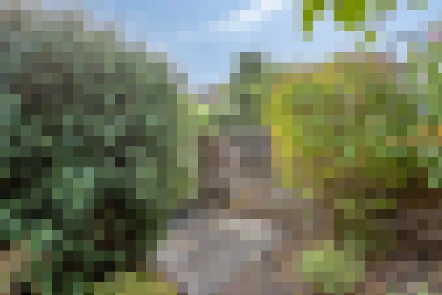 Heuvelroos 2 Leiden thumbnail 45