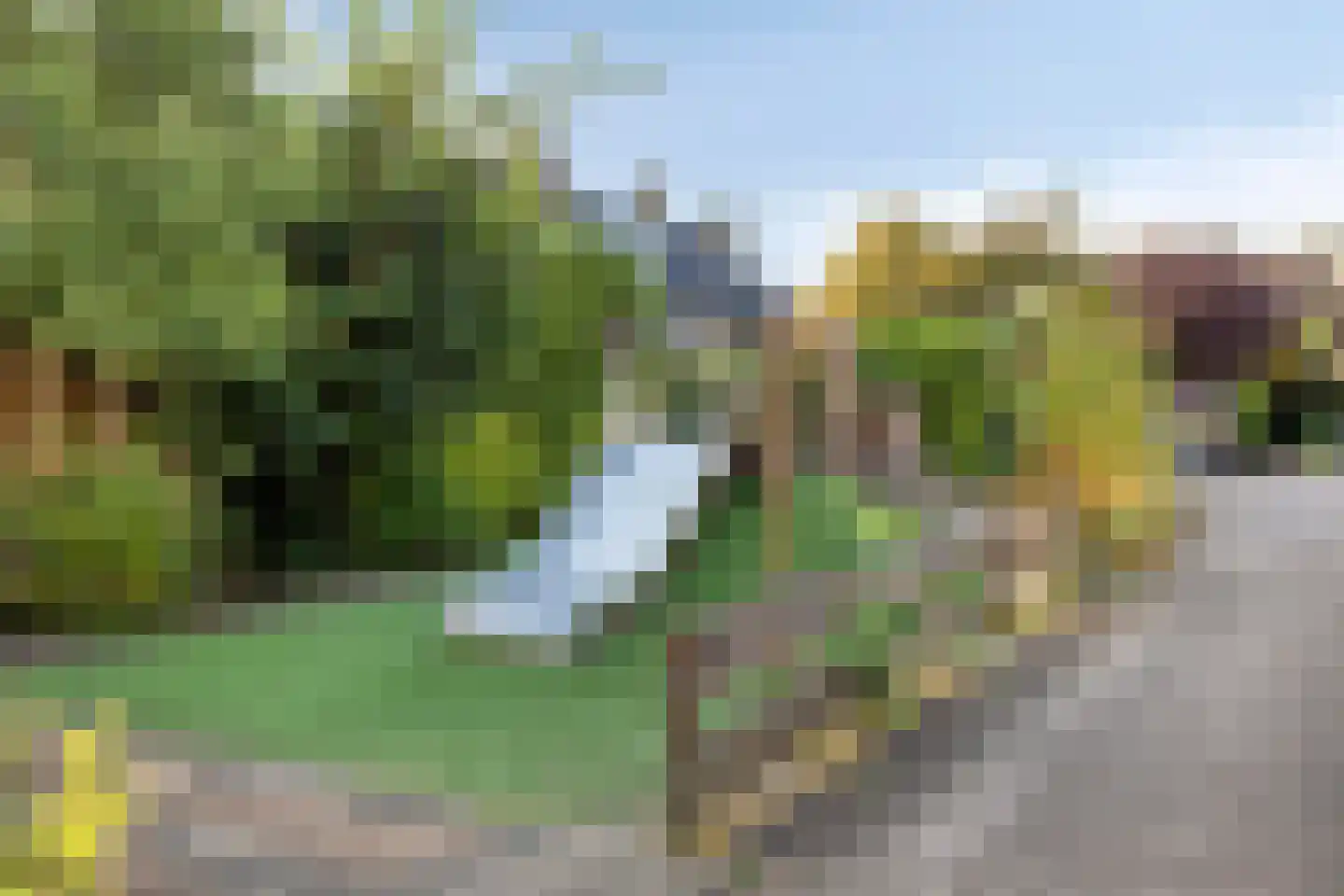 Heuvelroos 2 Leiden thumbnail 49