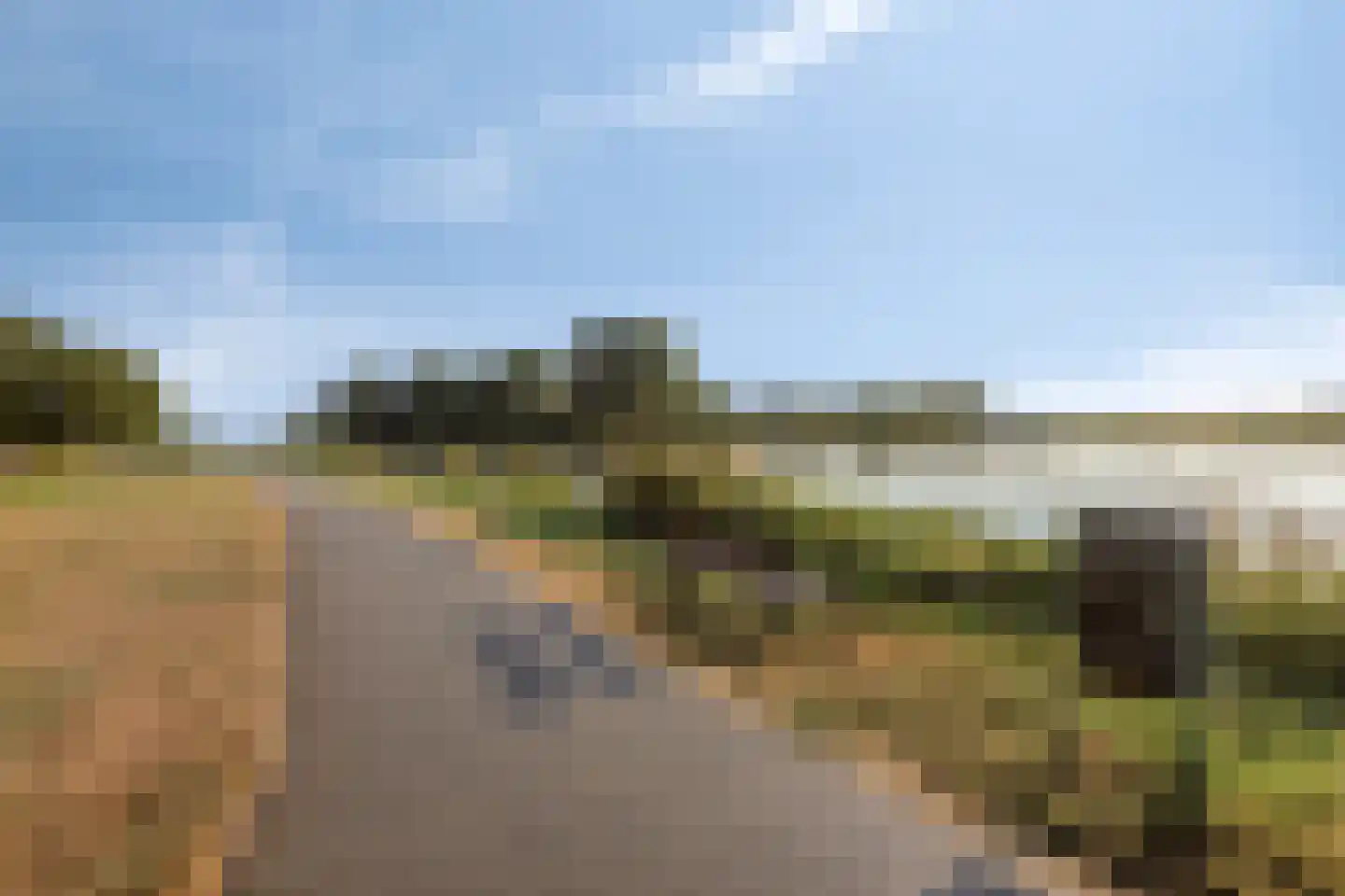 Heuvelroos 2 Leiden thumbnail 52