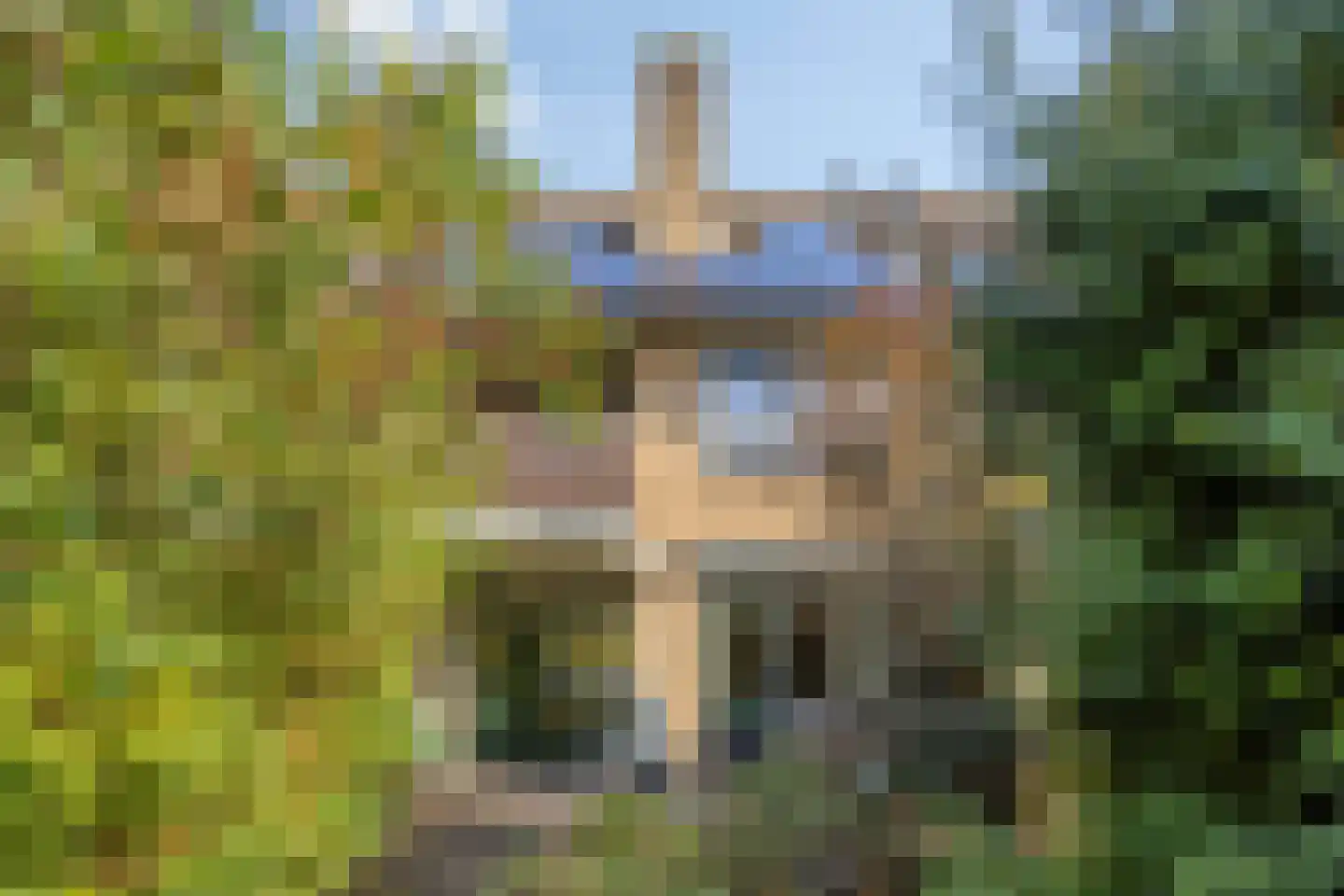 Heuvelroos 2 Leiden thumbnail 6