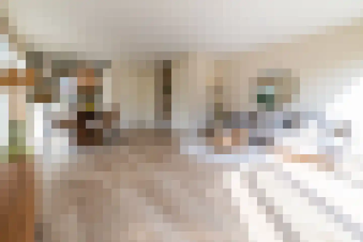 Heuvelse hof 10 Waalre thumbnail 11
