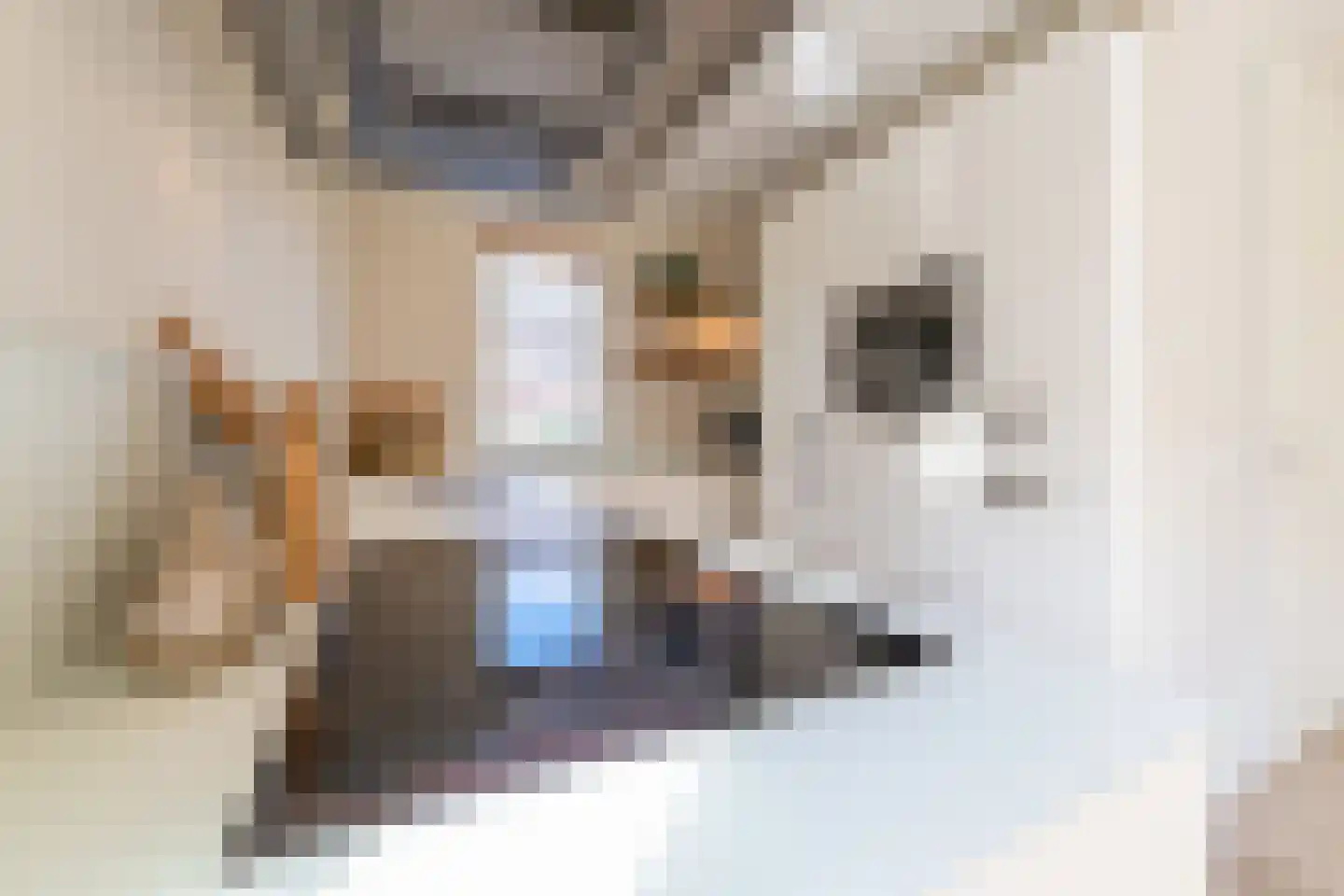Heuvelse hof 10 Waalre thumbnail 15