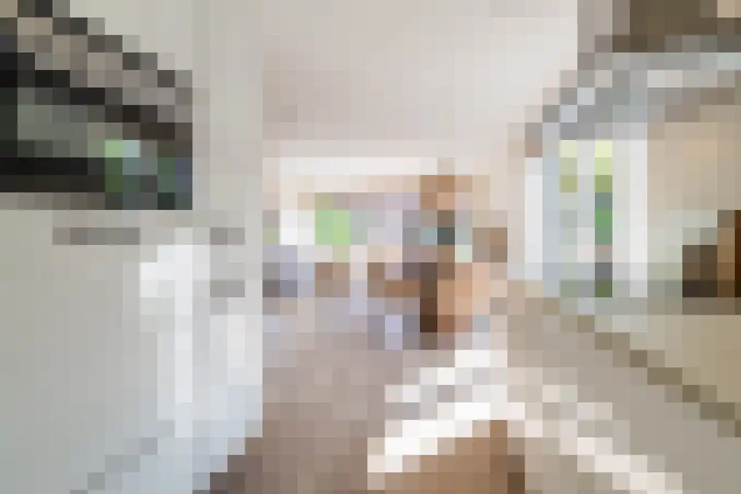 Heuvelse hof 10 Waalre thumbnail 17