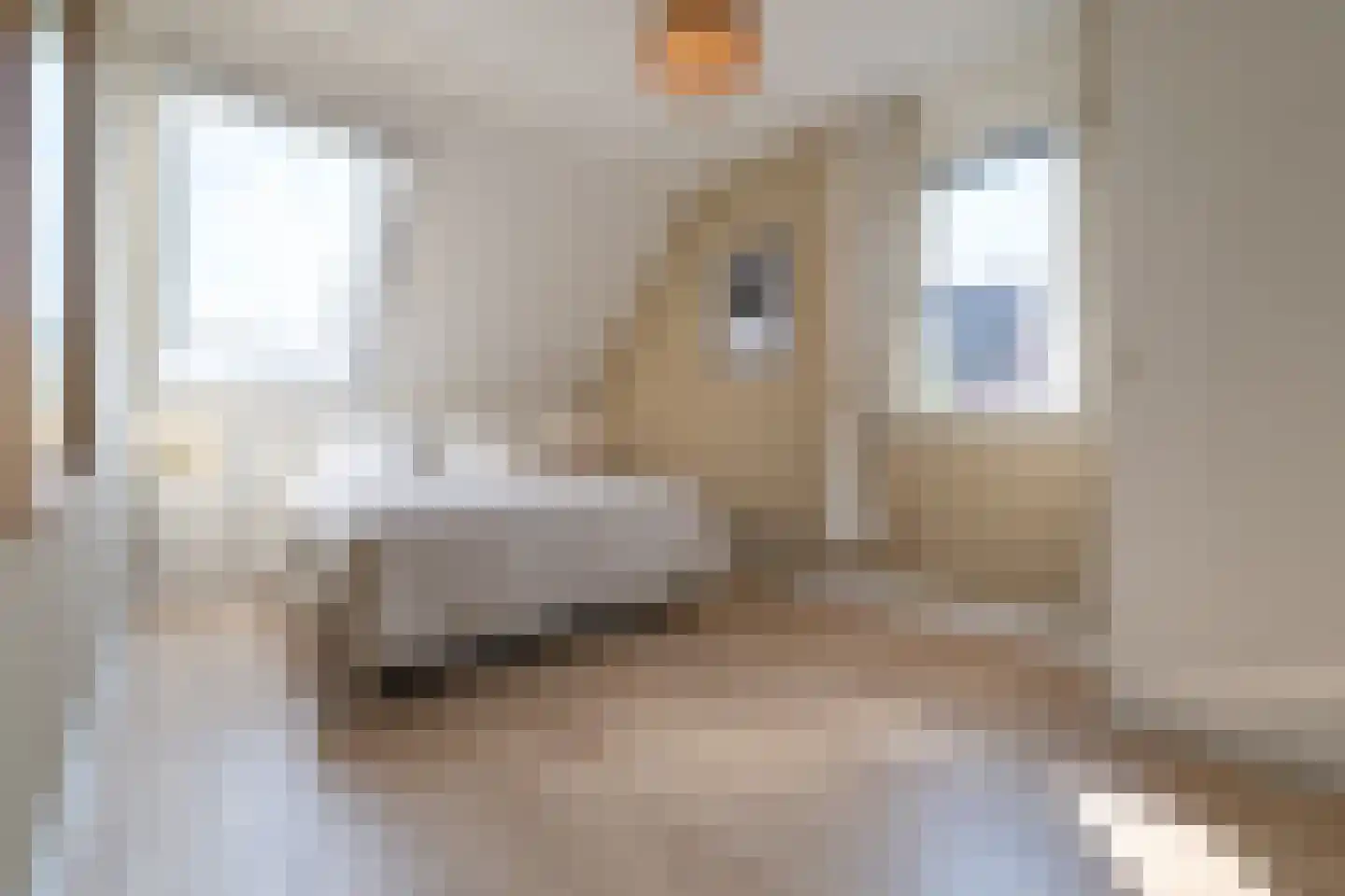 Heuvelse hof 10 Waalre thumbnail 20