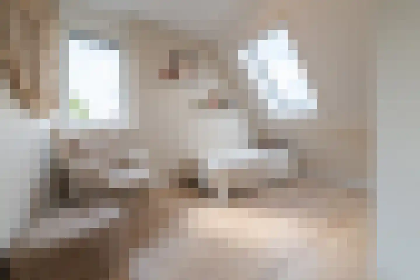Heuvelse hof 10 Waalre thumbnail 22