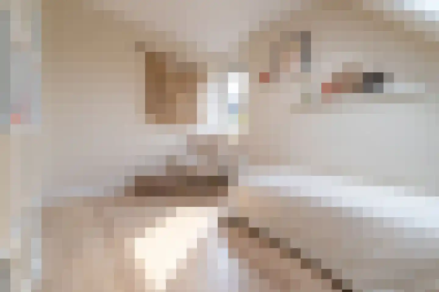 Heuvelse hof 10 Waalre thumbnail 23