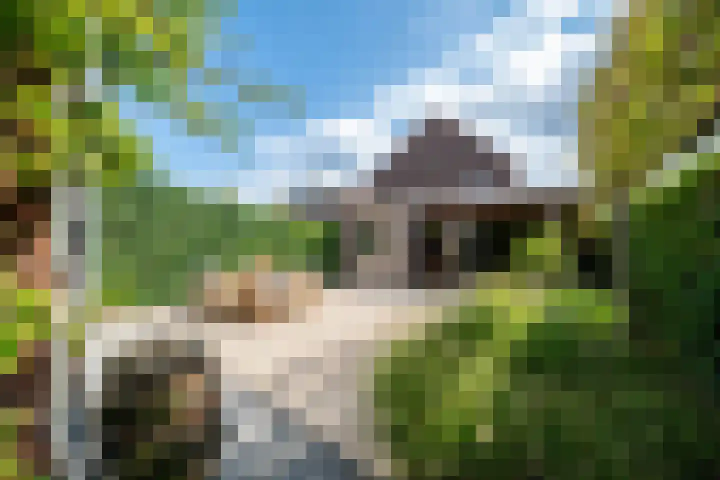 Heuvelse hof 10 Waalre thumbnail 33
