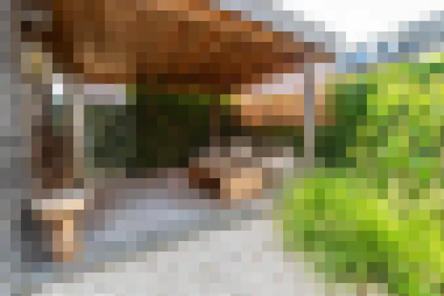 Heuvelse hof 10 Waalre thumbnail 35