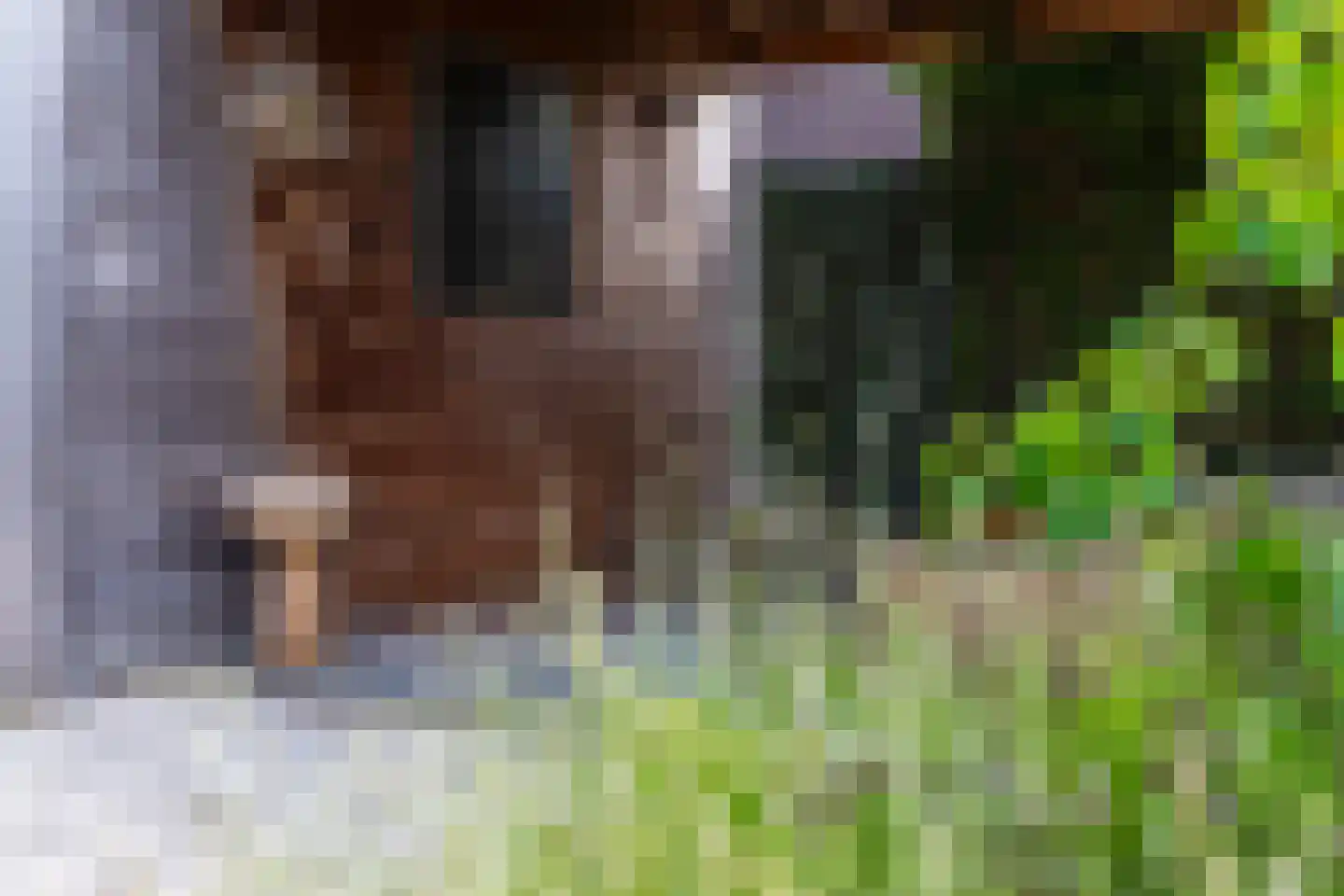 Heuvelse hof 10 Waalre thumbnail 36
