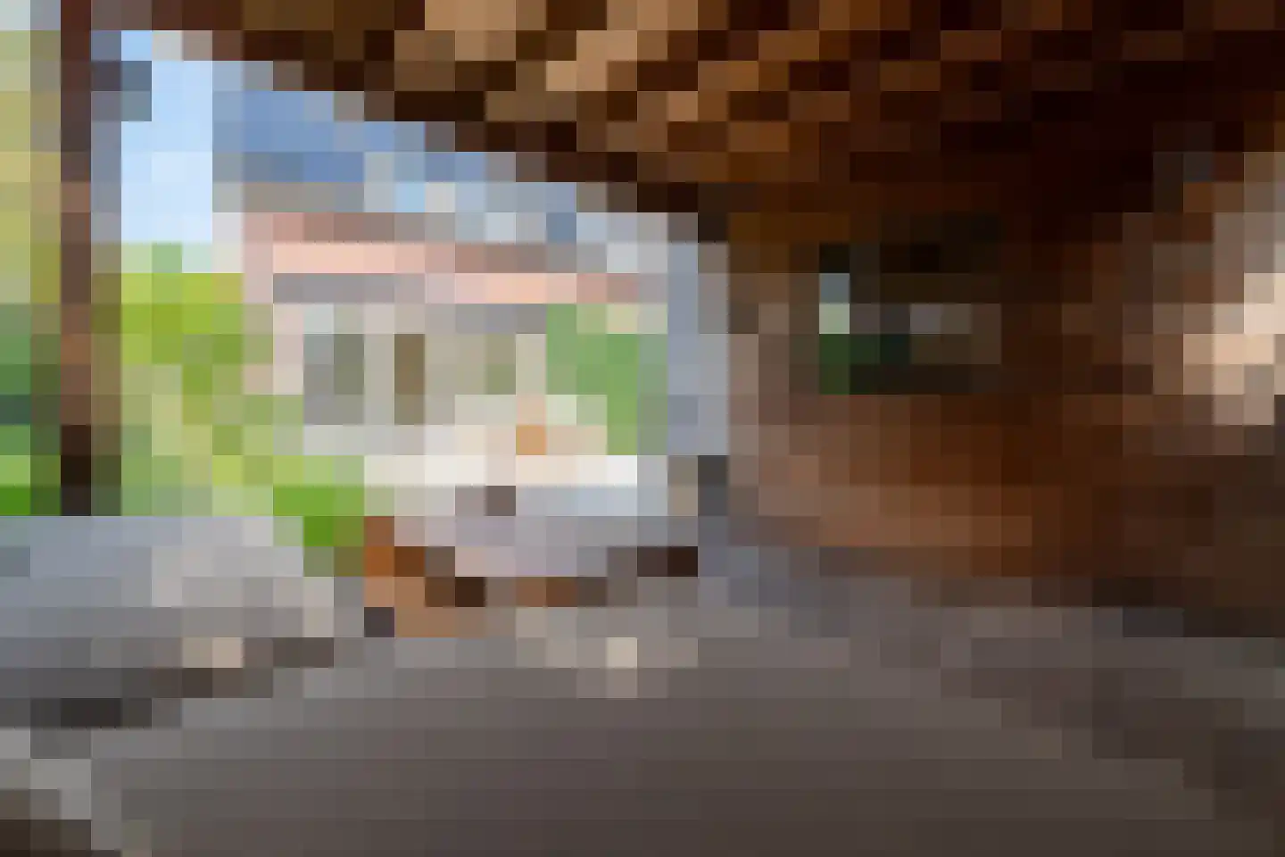 Heuvelse hof 10 Waalre thumbnail 37
