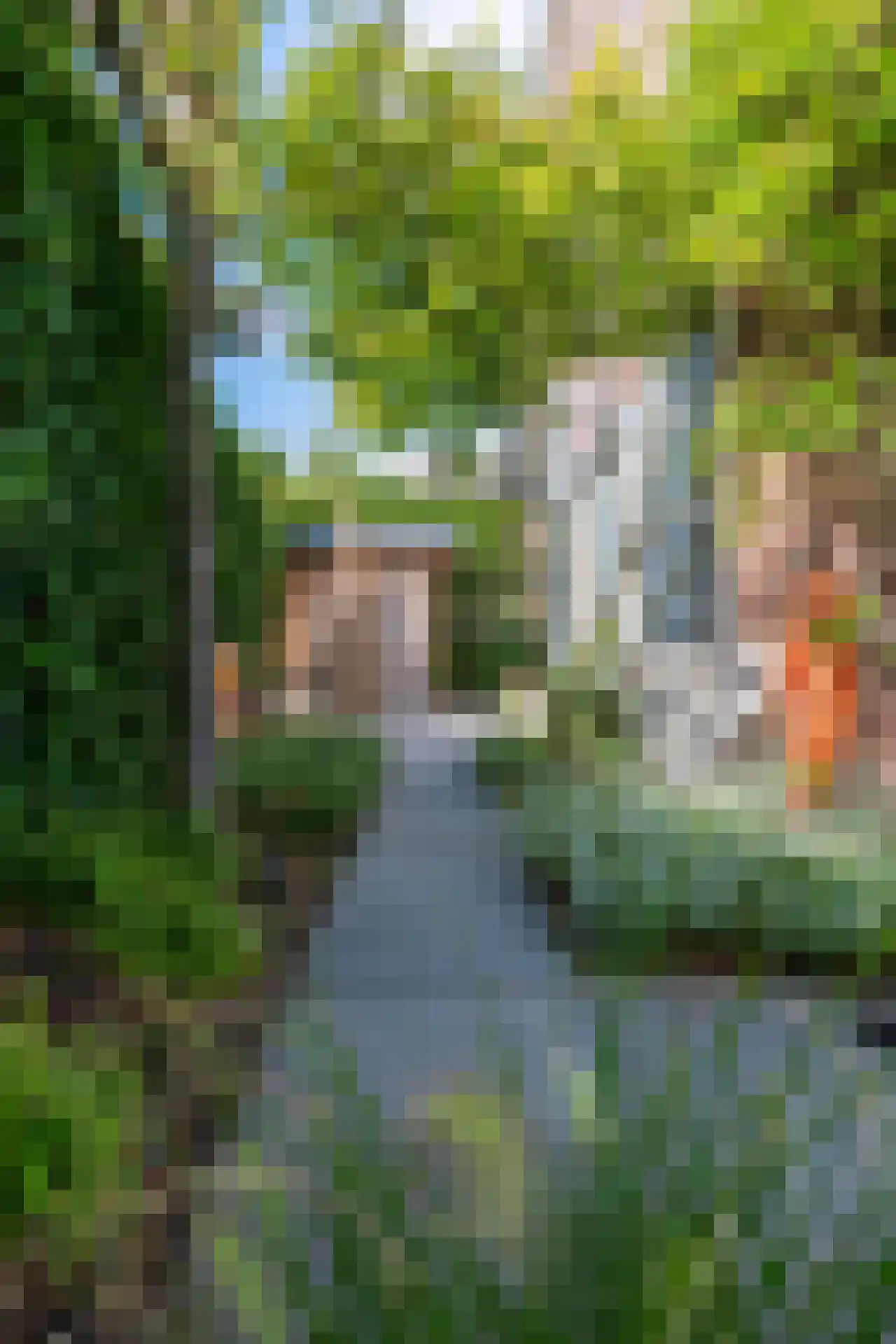Heuvelse hof 10 Waalre thumbnail 40