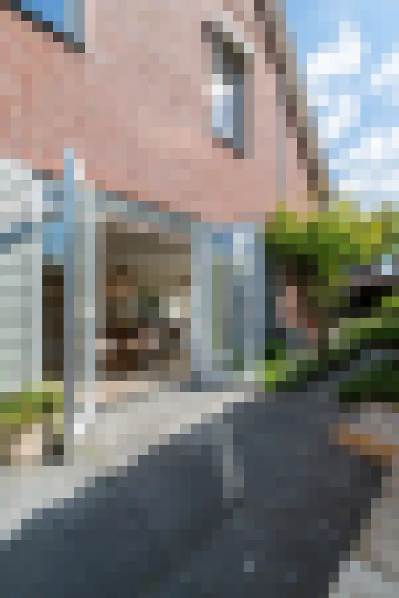 Heuvelse hof 10 Waalre thumbnail 43