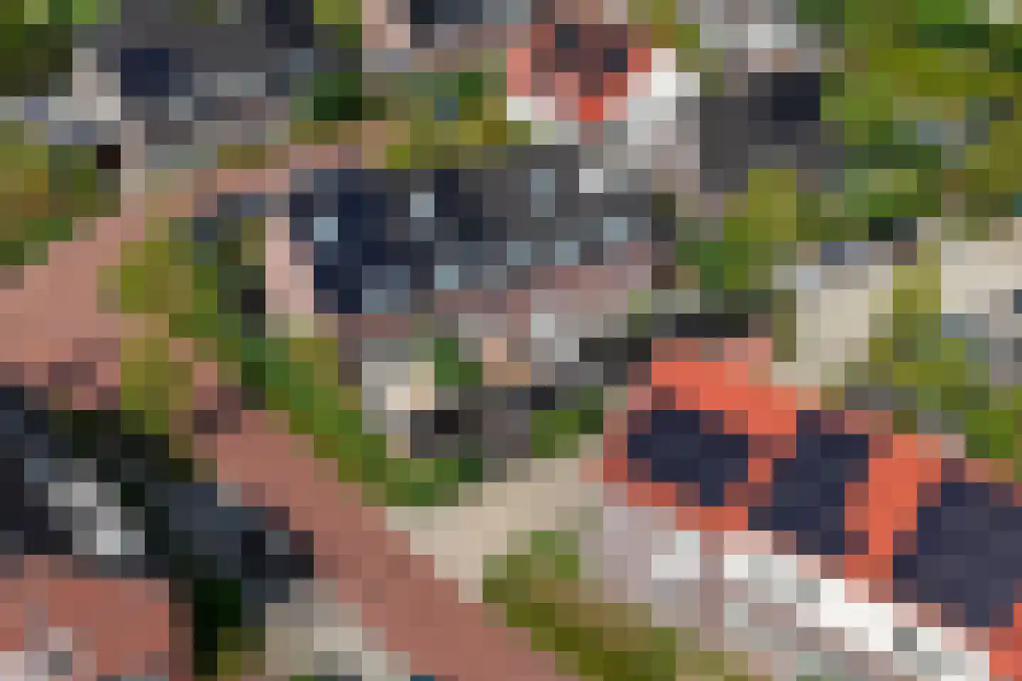 Heuvelse hof 10 Waalre thumbnail 50