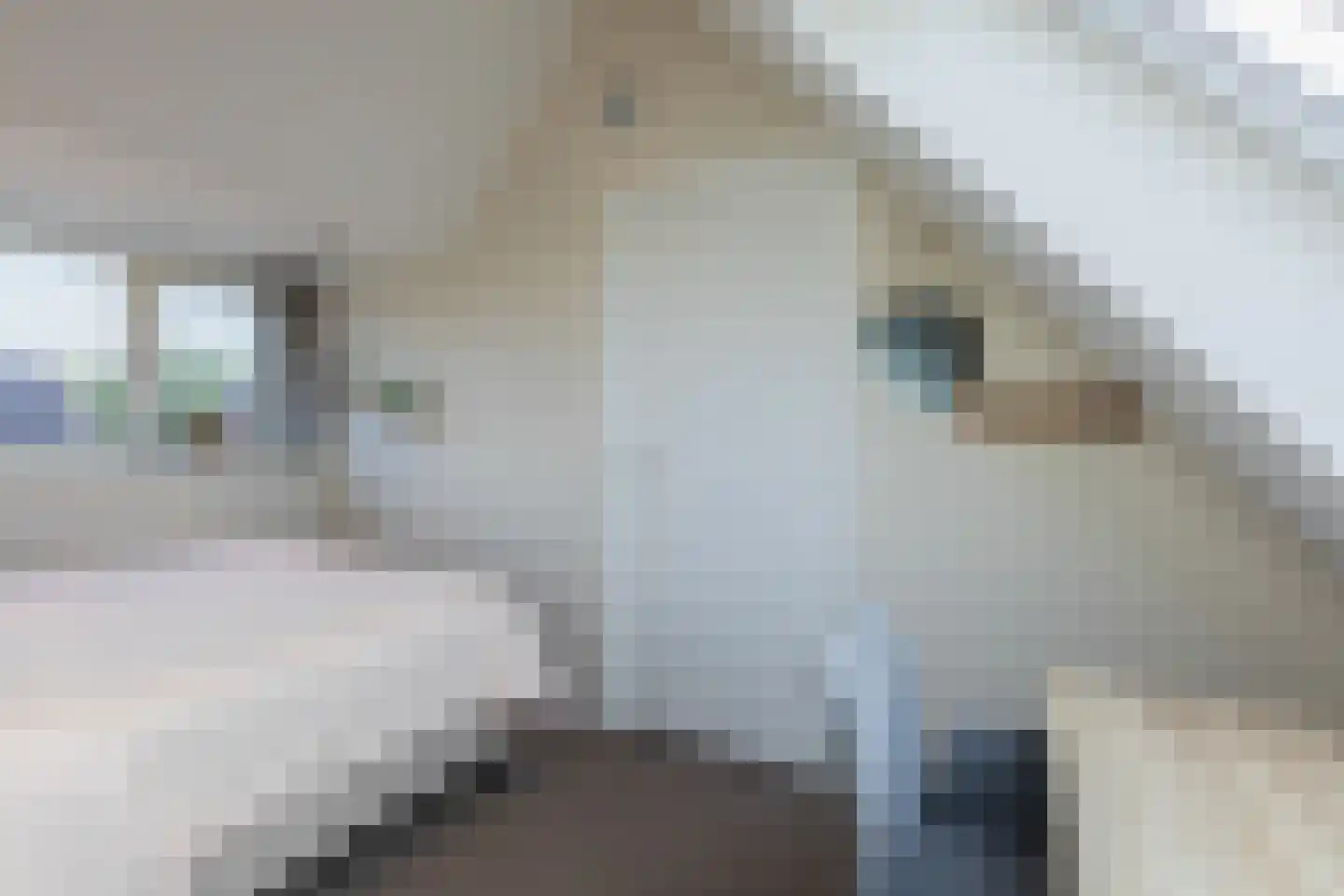 Heuvelse hof 9 Waalre thumbnail 30