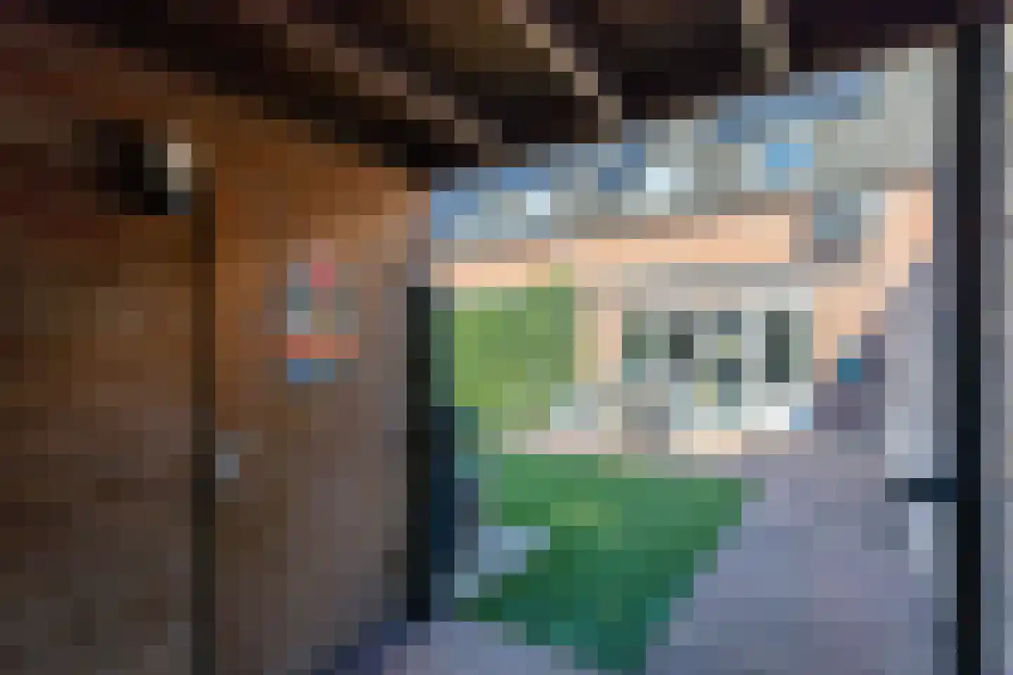 Heuvelse hof 9 Waalre thumbnail 31